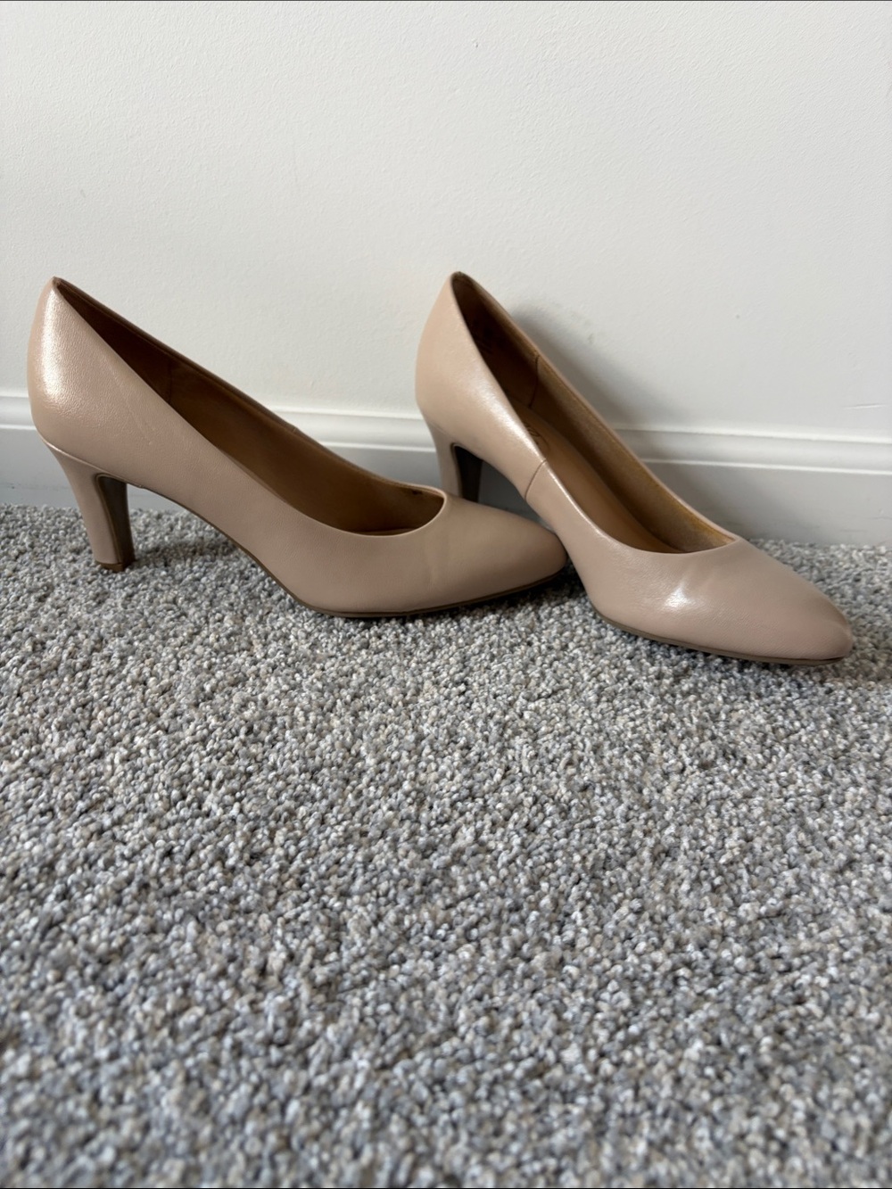 Abella Beige Pointed-Toe Leather Pumps